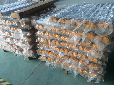 防爆熒光燈內部結構 專業生產防爆熒光燈-溫州碩寶電氣科技