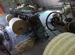 蒼南縣思思拖把廠